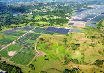 Solar panels from above