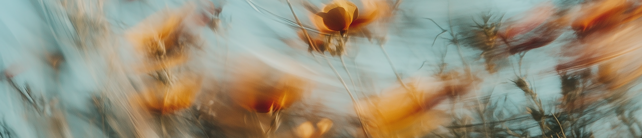 COGNITIVE_SERVICE_TRANSLATE_ERROR