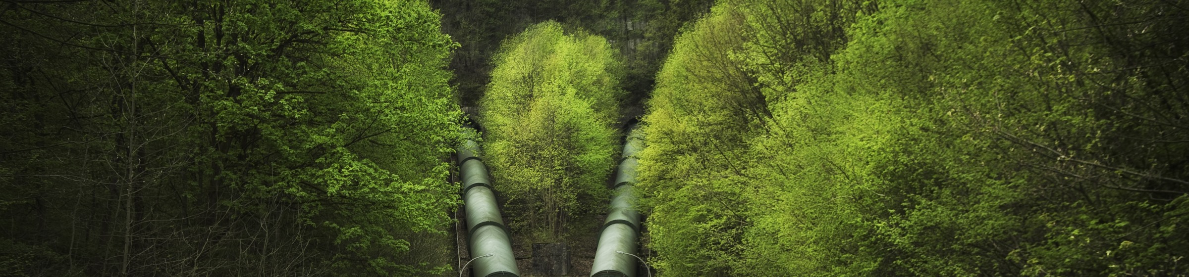 Pressure pipelines in forest