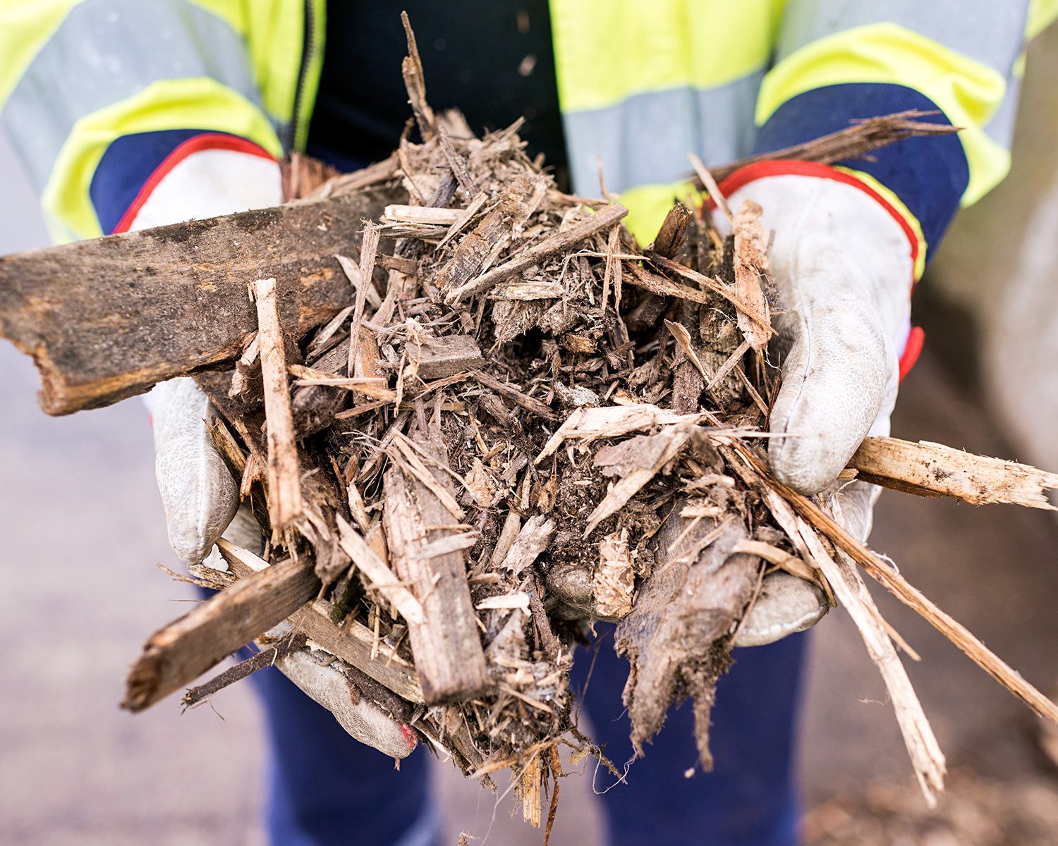 Biomass