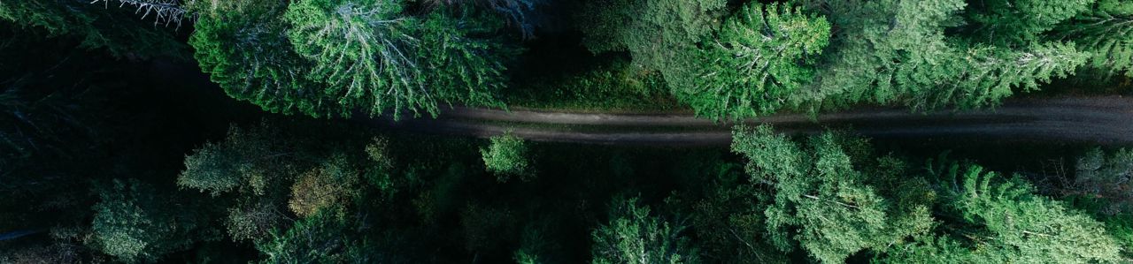 COGNITIVE_SERVICE_TRANSLATE_ERROR