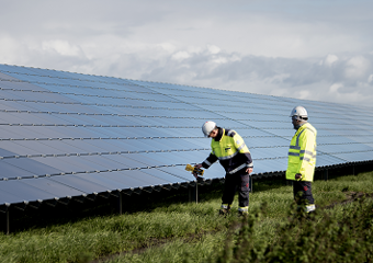 Employees in solar park
