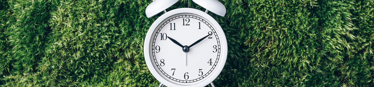 Reloj blanco sobre hojas verdes