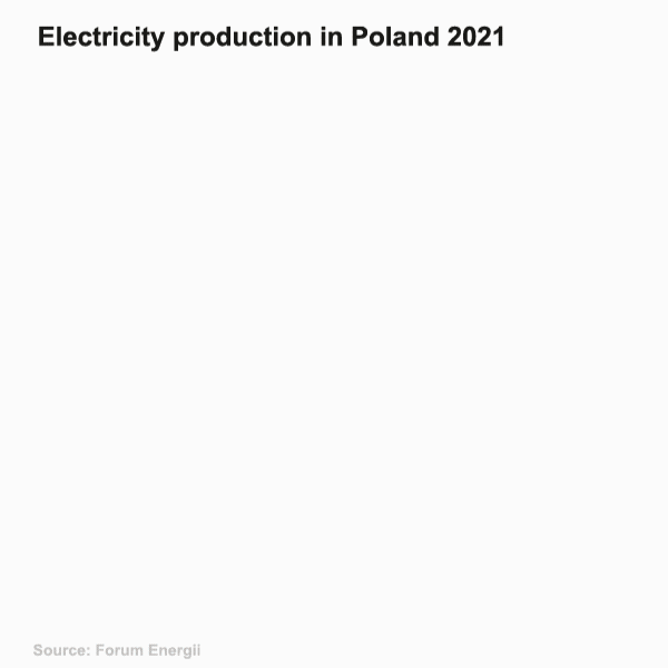 Graphics showing Poland's electricity production in 2021