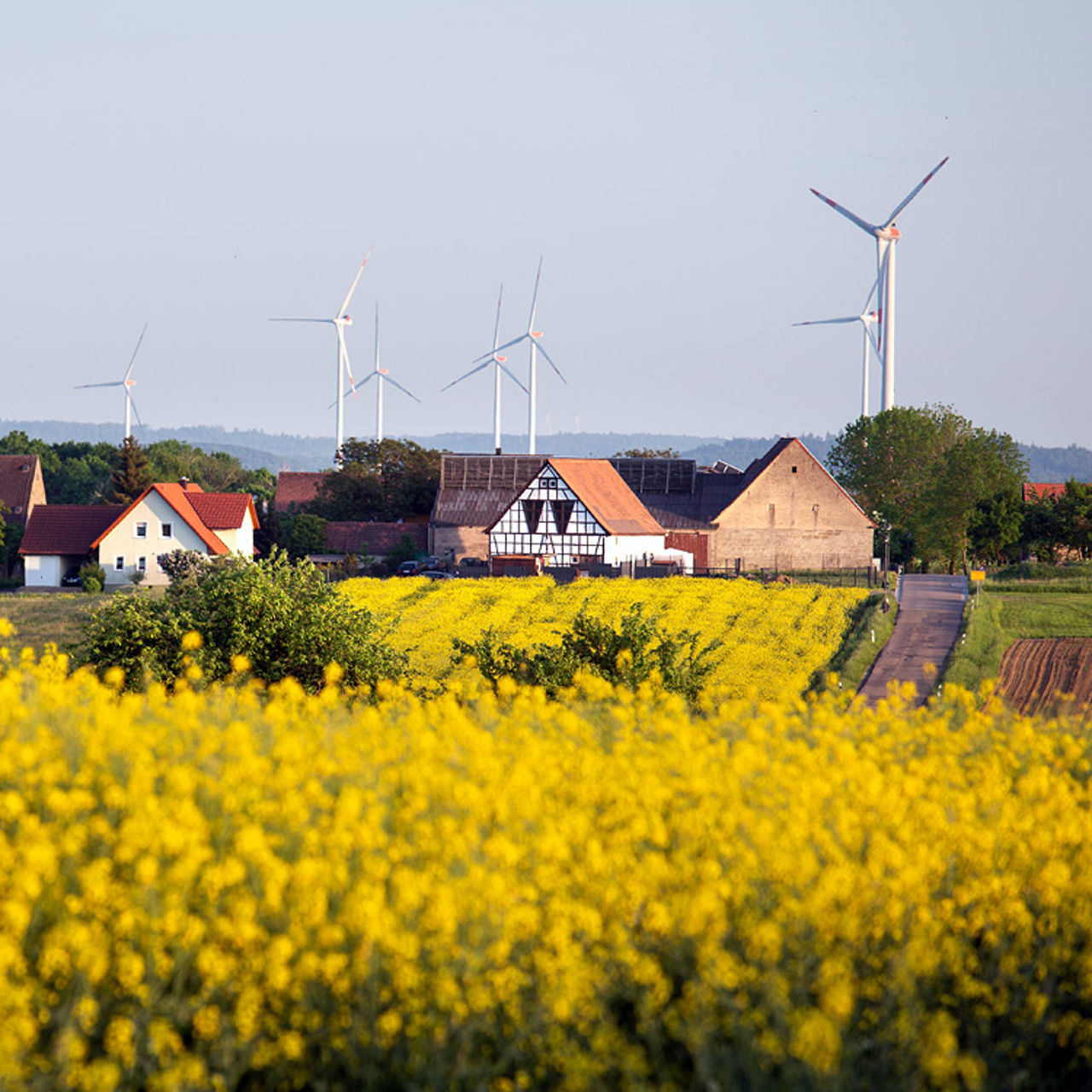 Wind turbines and houses