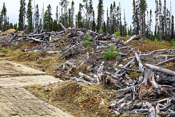 Residues from forestry