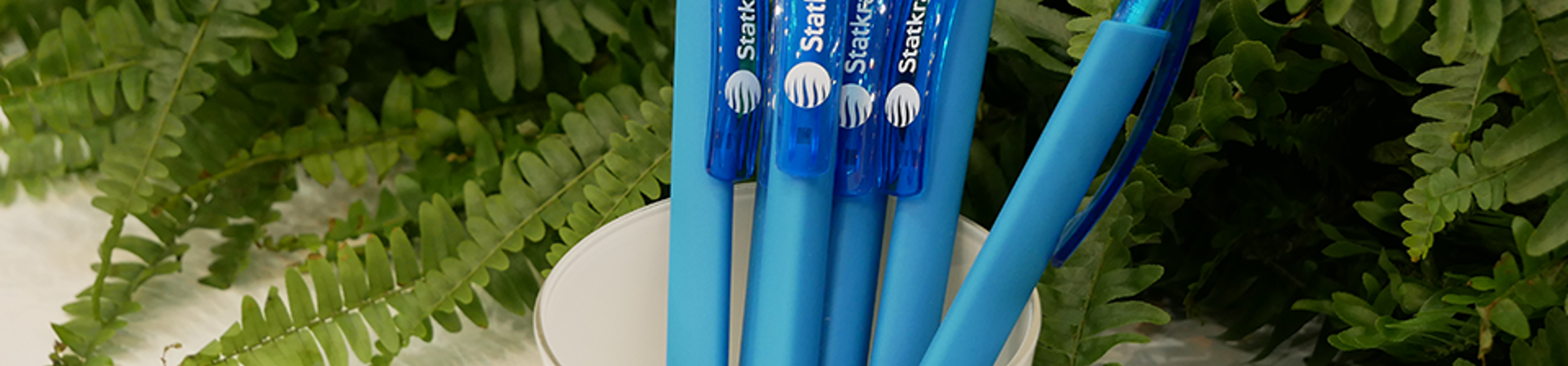 Statkraft branded pens and plants in the background