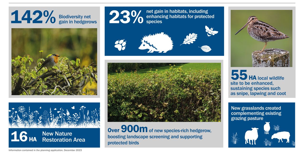 biodiversity infographic